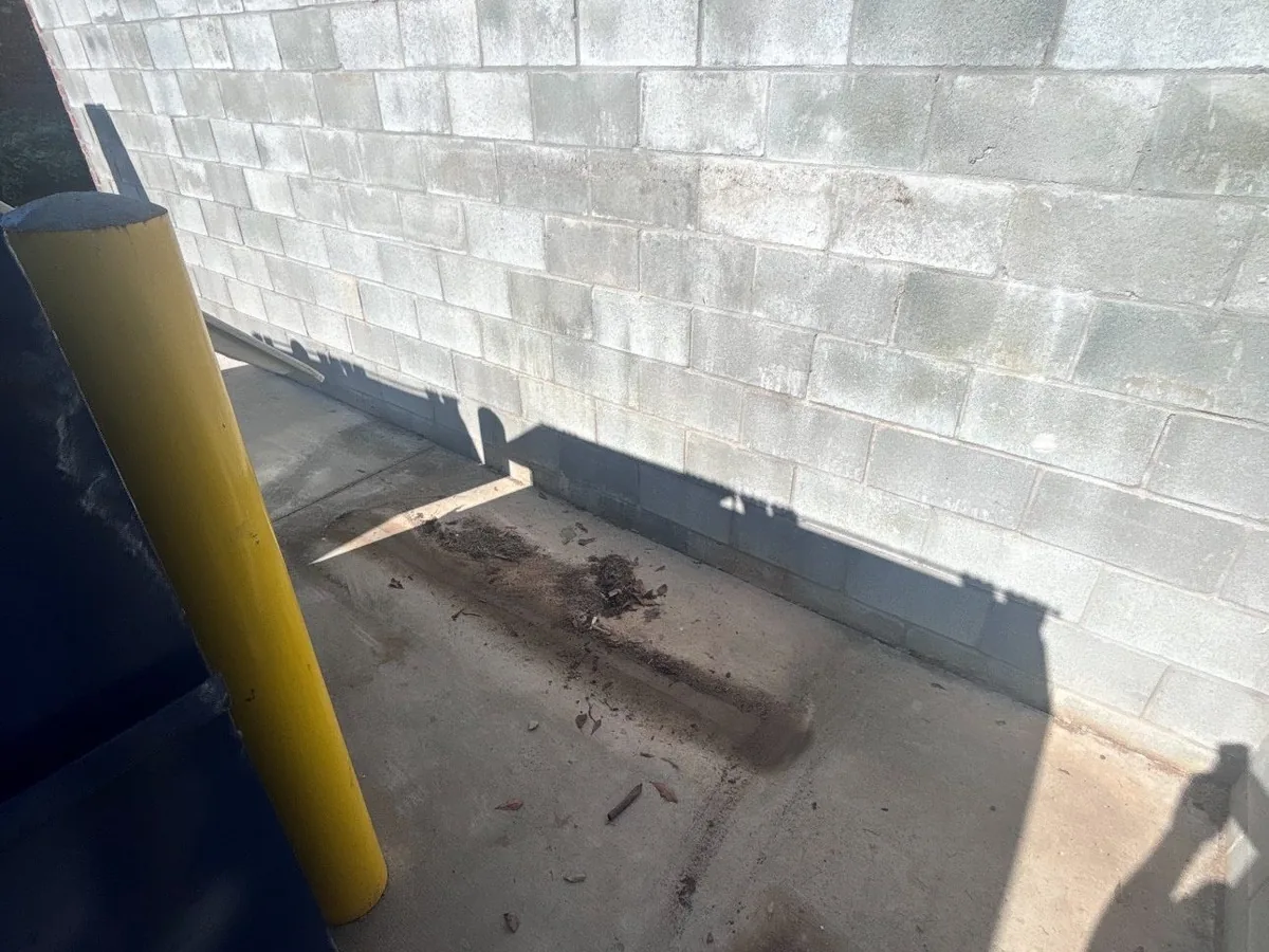 The same dumpster enclosure corner cleared after the mattress was hauled away